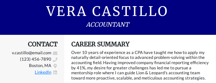 Accountant resume summary