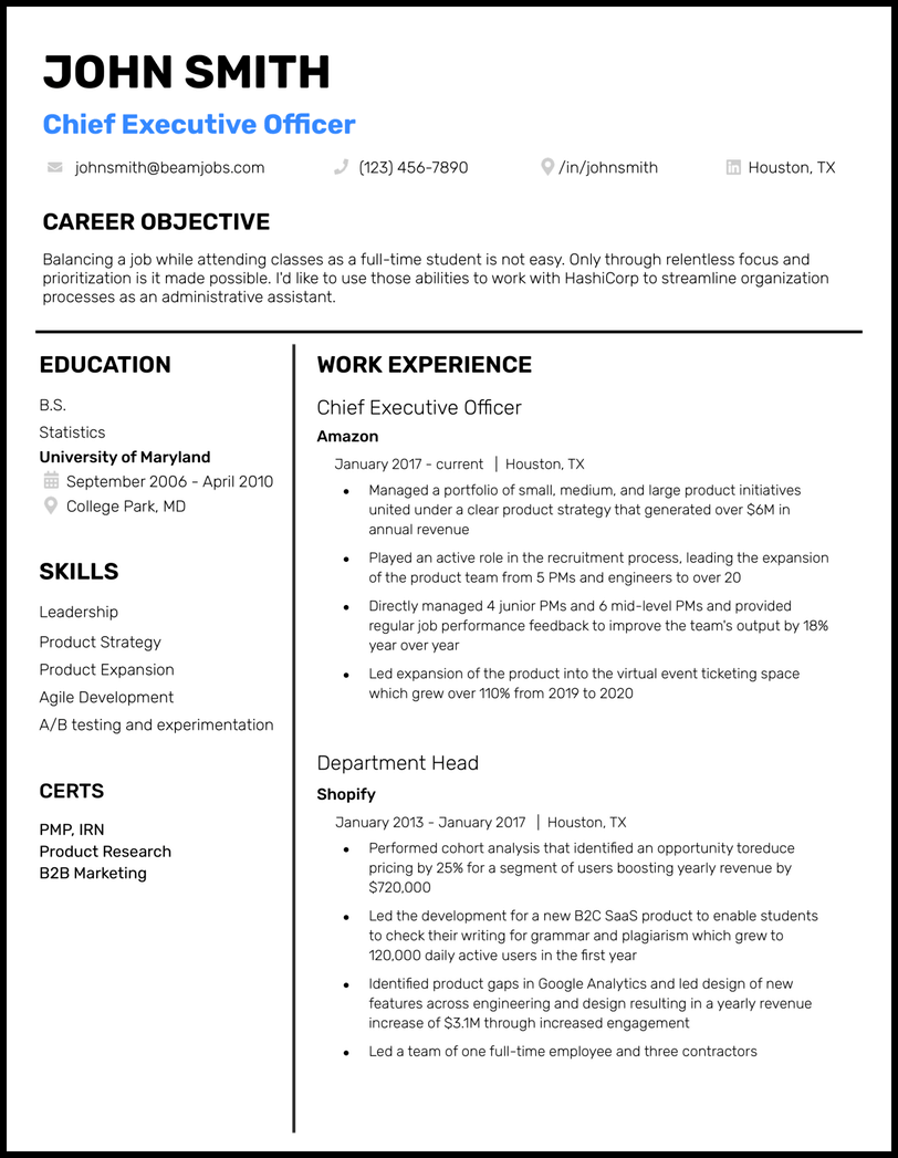 Google Docs RESUME TEMPLATE. CV Template Free. Professional 