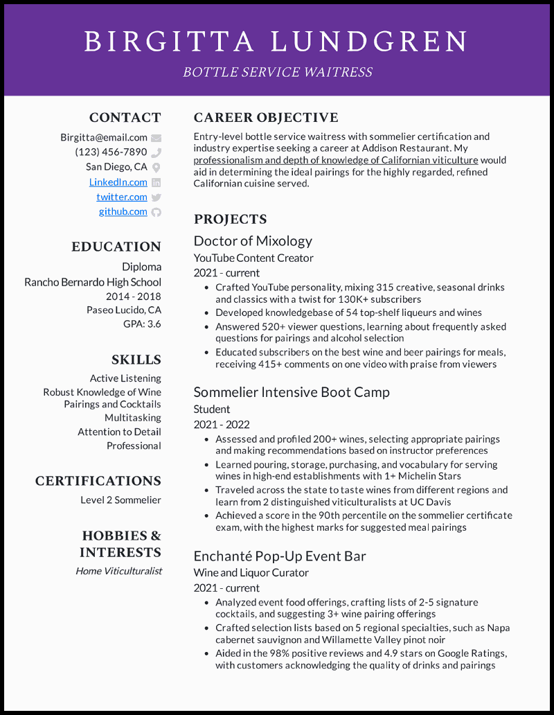 Bottle service waitress resume example 