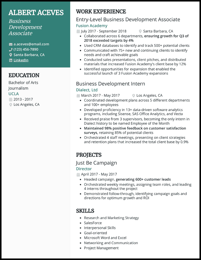 business development manager resume headline