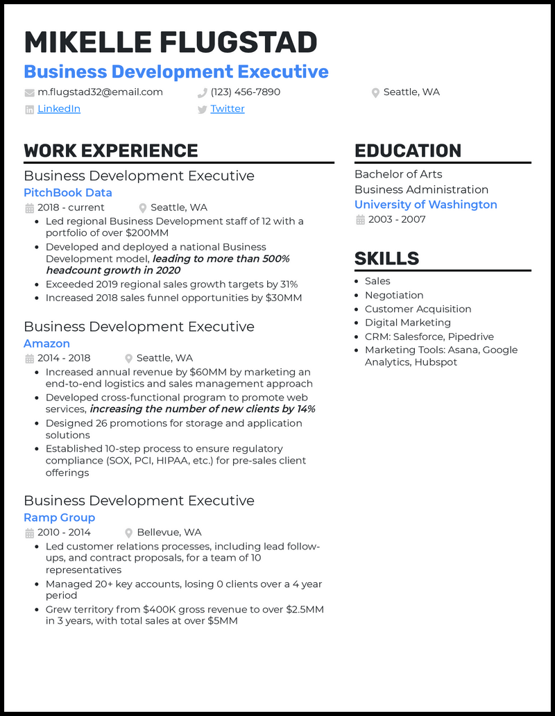 Professional business development executive resume example