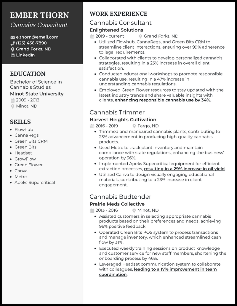 Cannabis consultant resume example with 10 years of experience