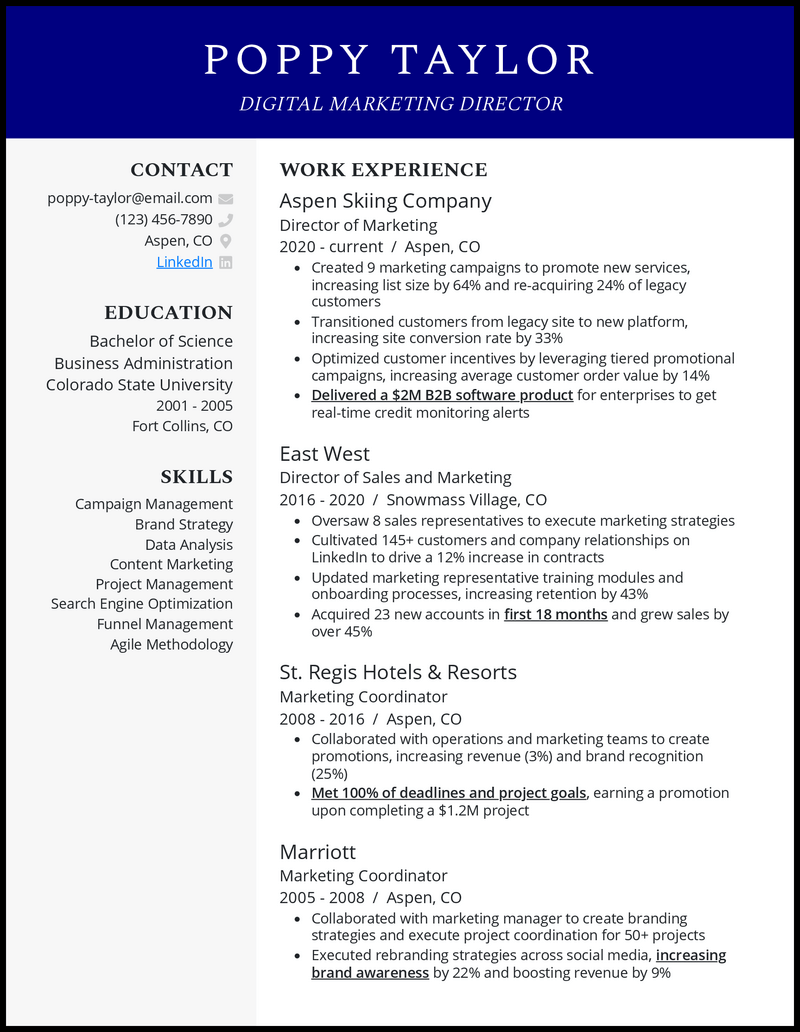 Clean digital marketing director resume example with 8+ years experience