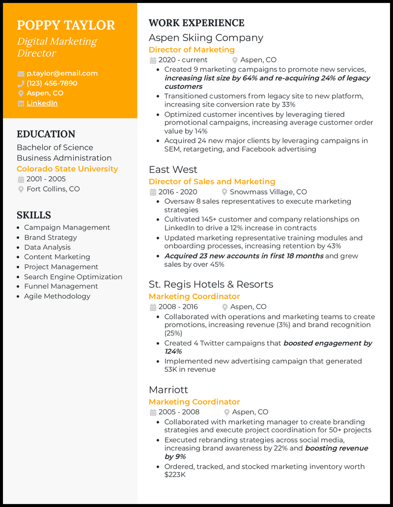 Digital marketing director resume example with 18 years of experience