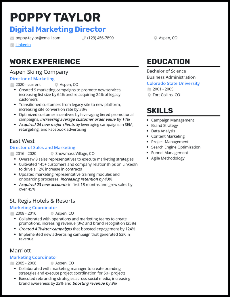 Elegant digital marketing director resume example with 8+ years experience