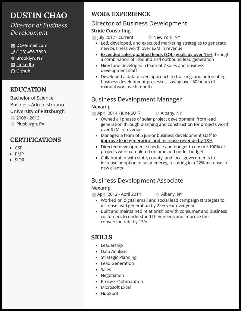 Elegant director of business development resume example