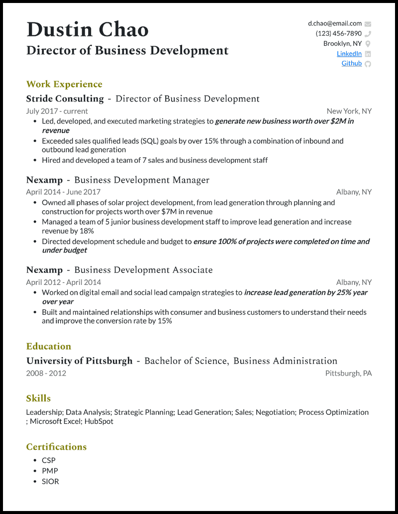 Director of business development resume example with 10 years of experience