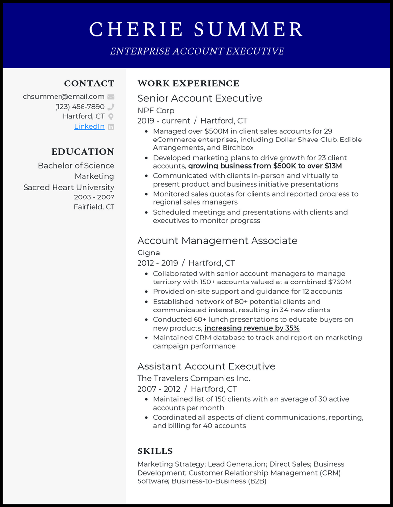 Clean enterprise account executive resume example