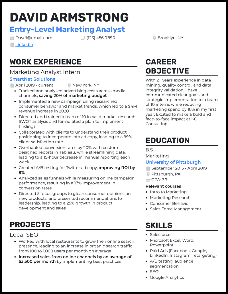 Best Resume Examples 2024 By Industry - Raina Chandra