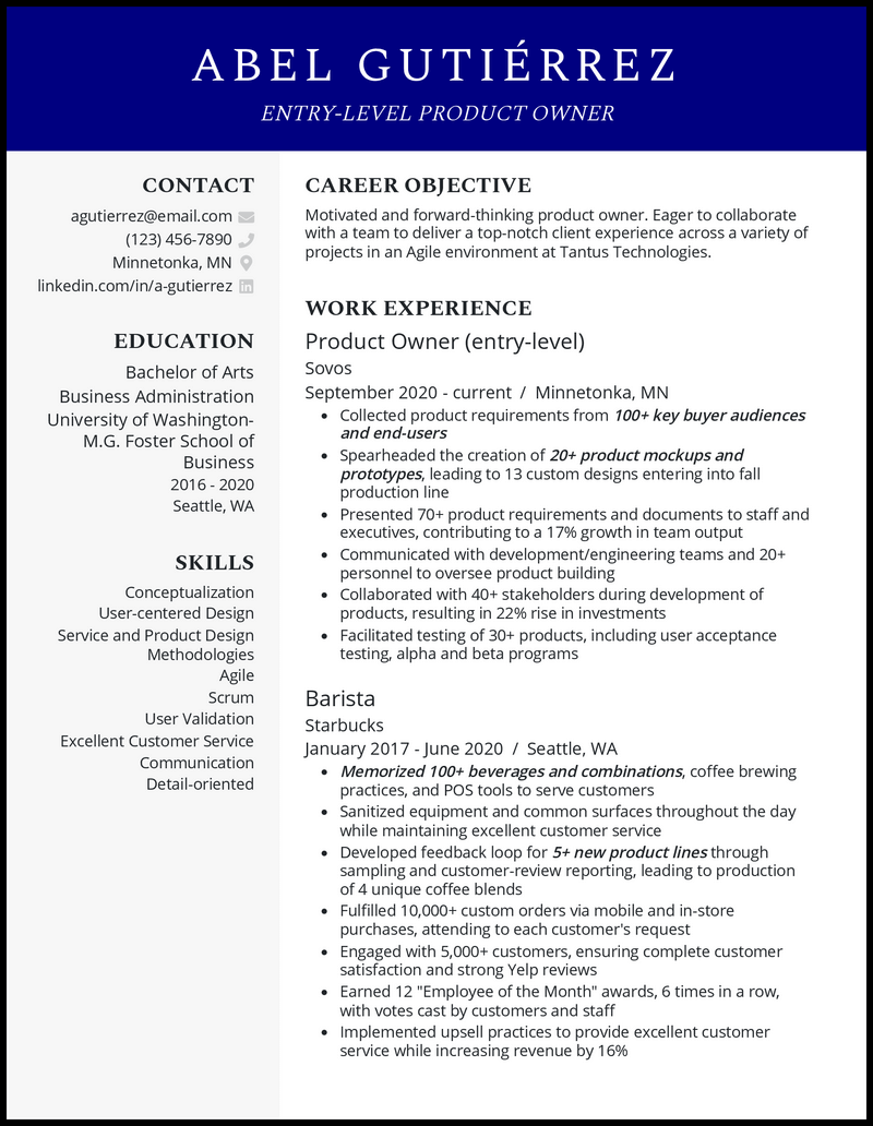 Entry level product owner resume example with no experience