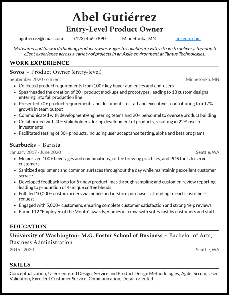 Modern entry level product owner resume example with no experience