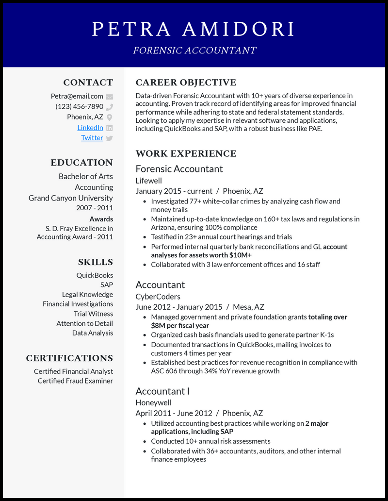 Professional forensic accountant resume example