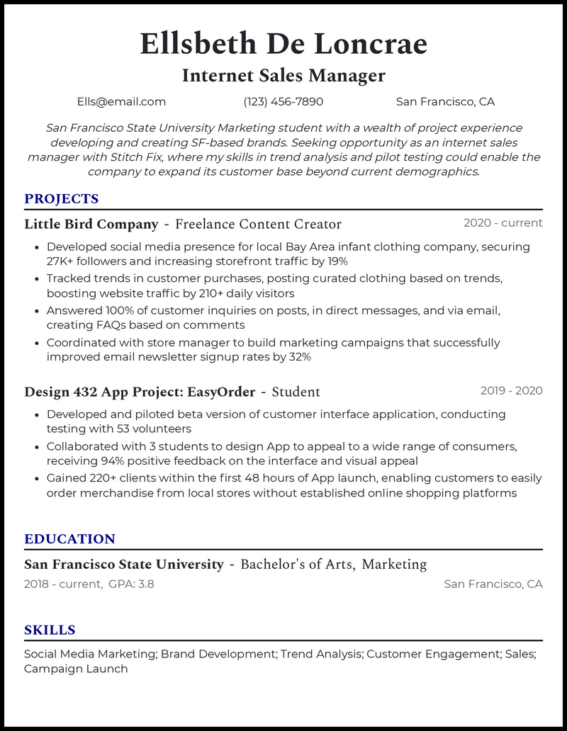 Professional internet sales manager resume example with no experience