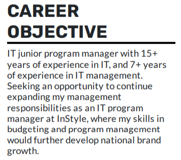 IT Junior Program Manager career objective