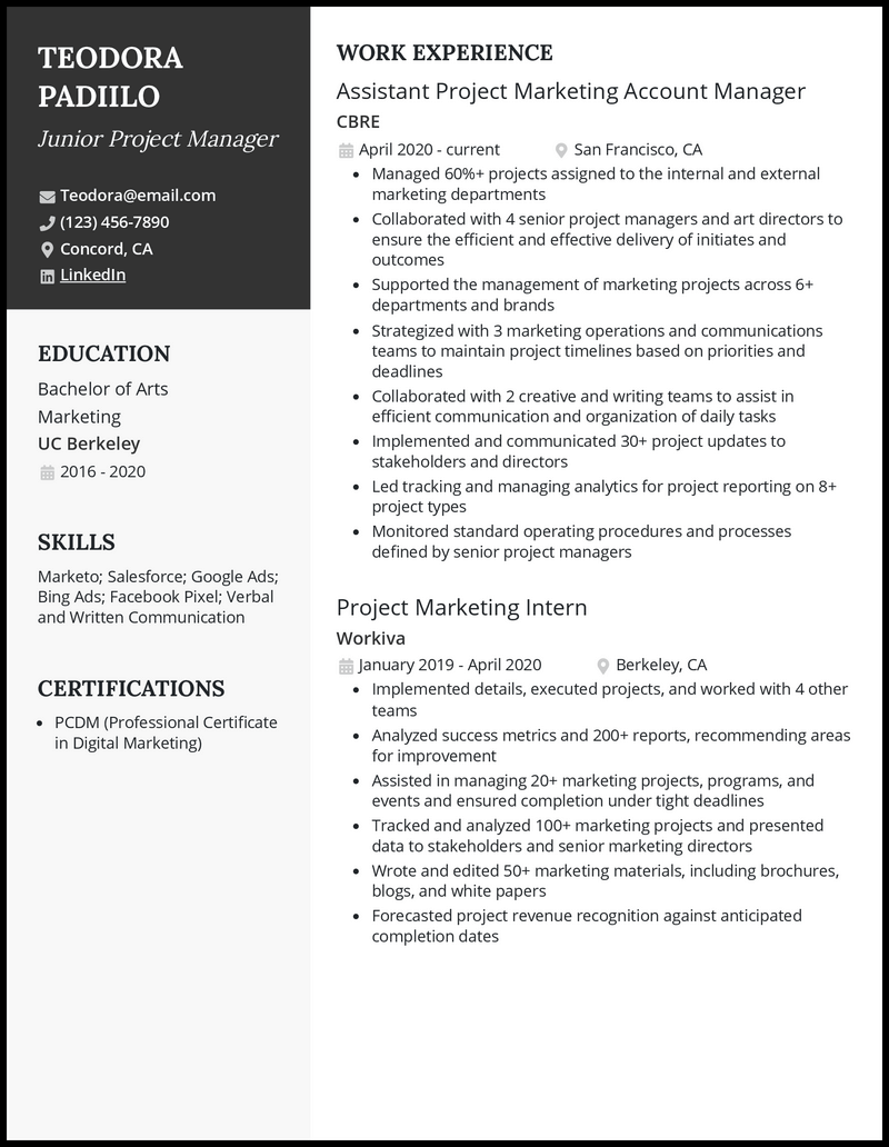 junior project manager resume objective