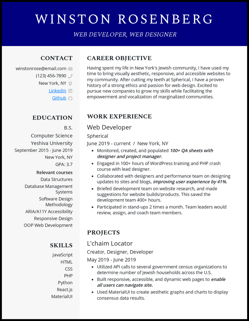 Professional junior web developer resume example