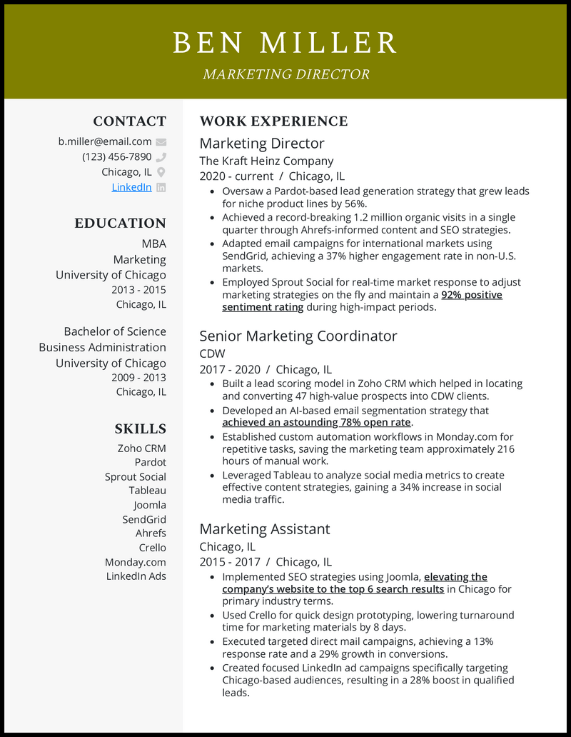 9-marketing-director-resume-examples-templates