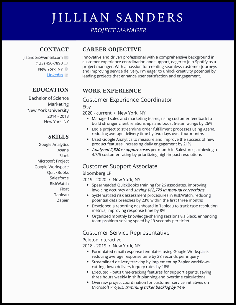 IT Project Manager Resume Template