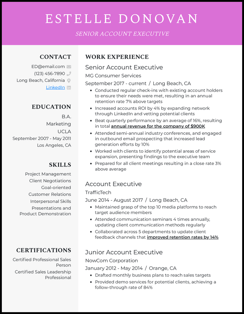 3 Senior Account Executive Resume Examples for 2026