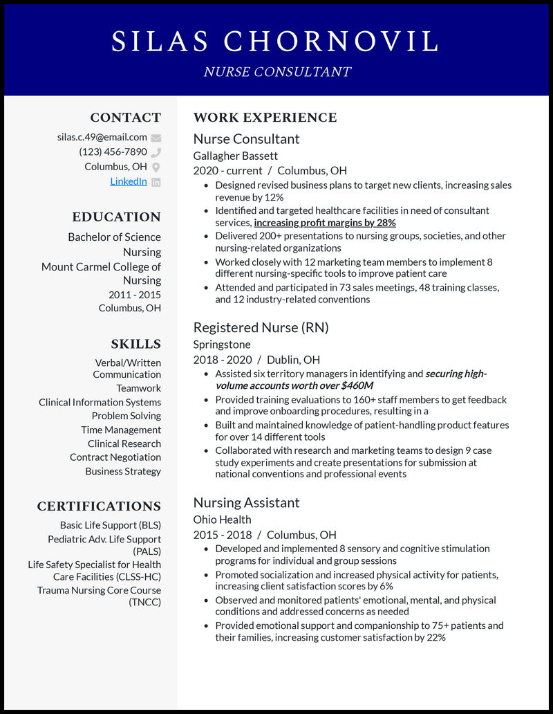 Professional nurse consultant resume example