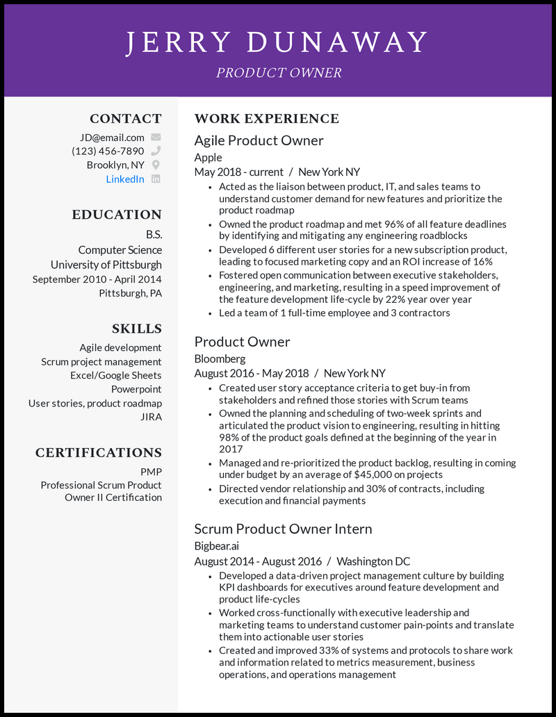 Product owner resume example with 7 years of experience