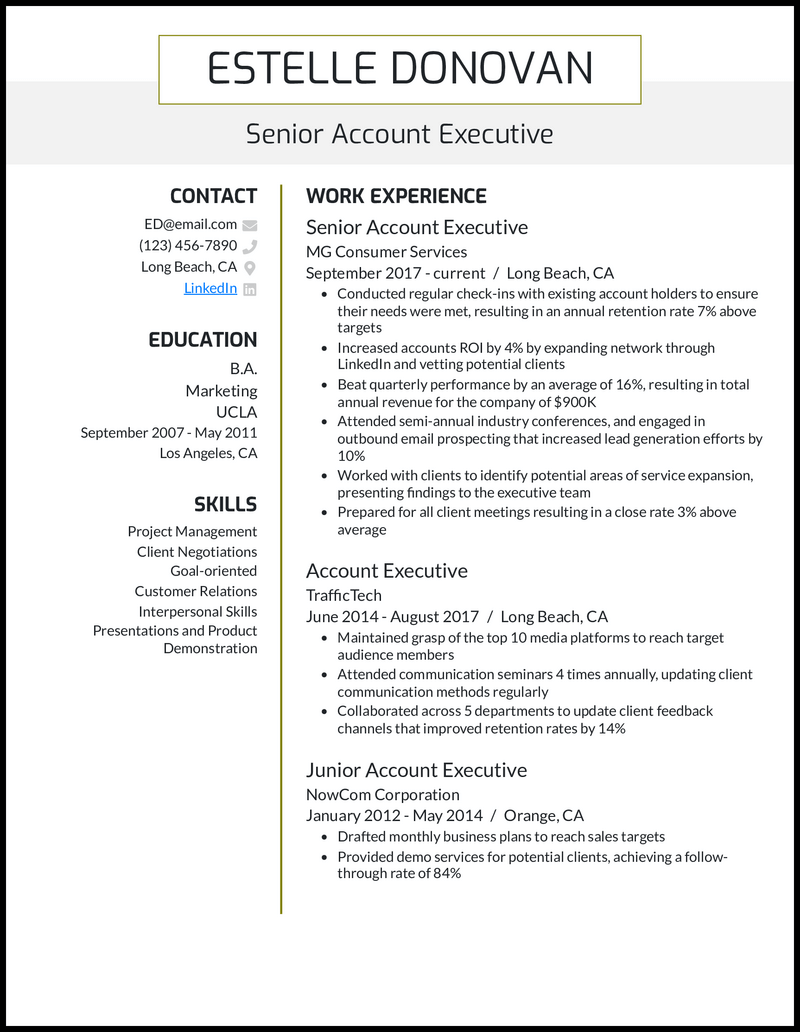 3 Senior Account Executive Resume Examples for 2026