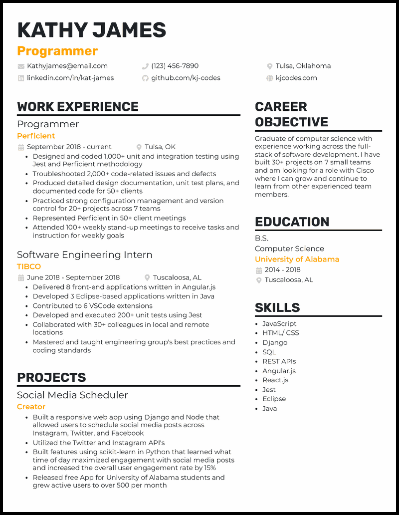 13 Programmer Resume Examples for 2025