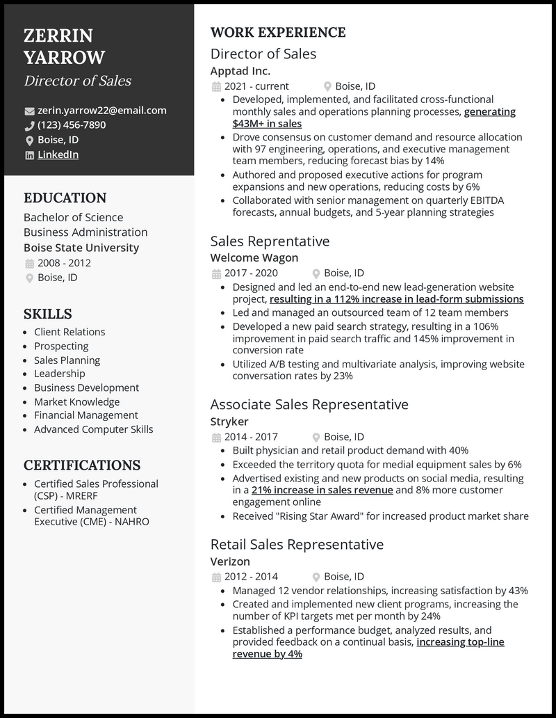 3 Real Sales Director Resume Examples That Worked In 2024   Sales Director Elegant Resume Example 