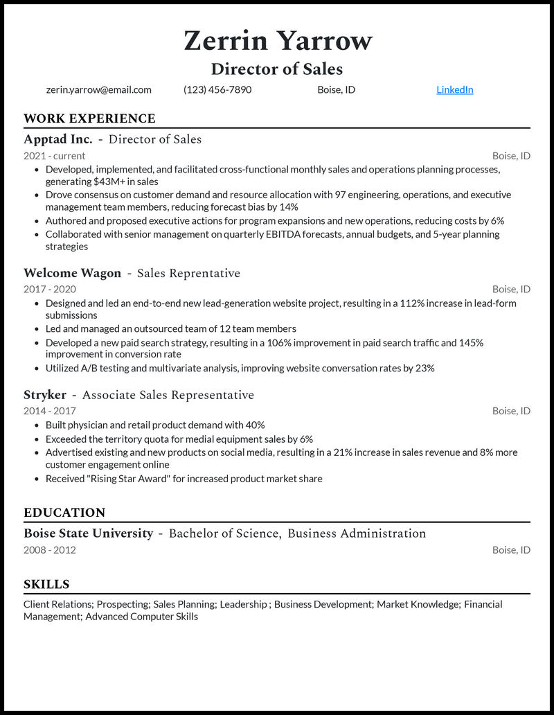 Professional sales director resume example