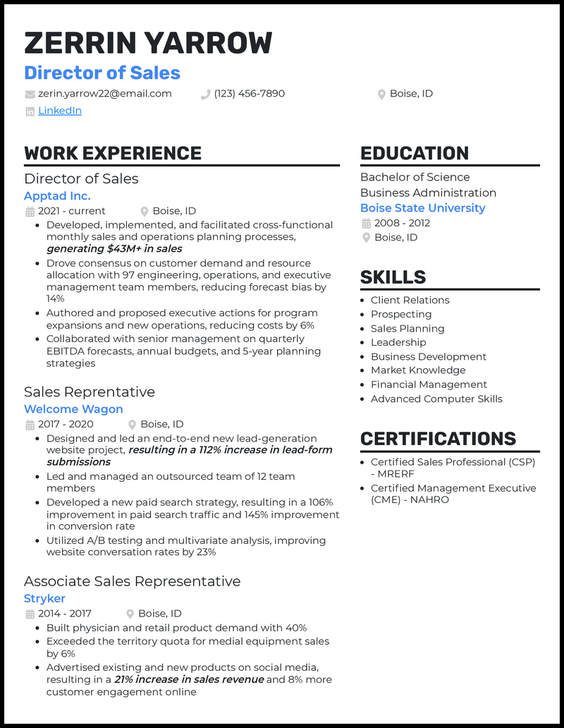 Modern sales director resume example