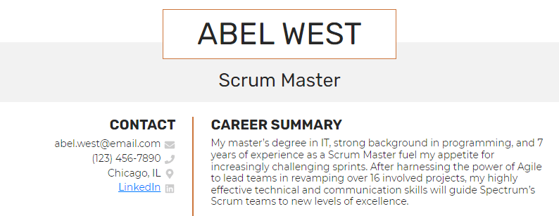 Scrum master resume summary