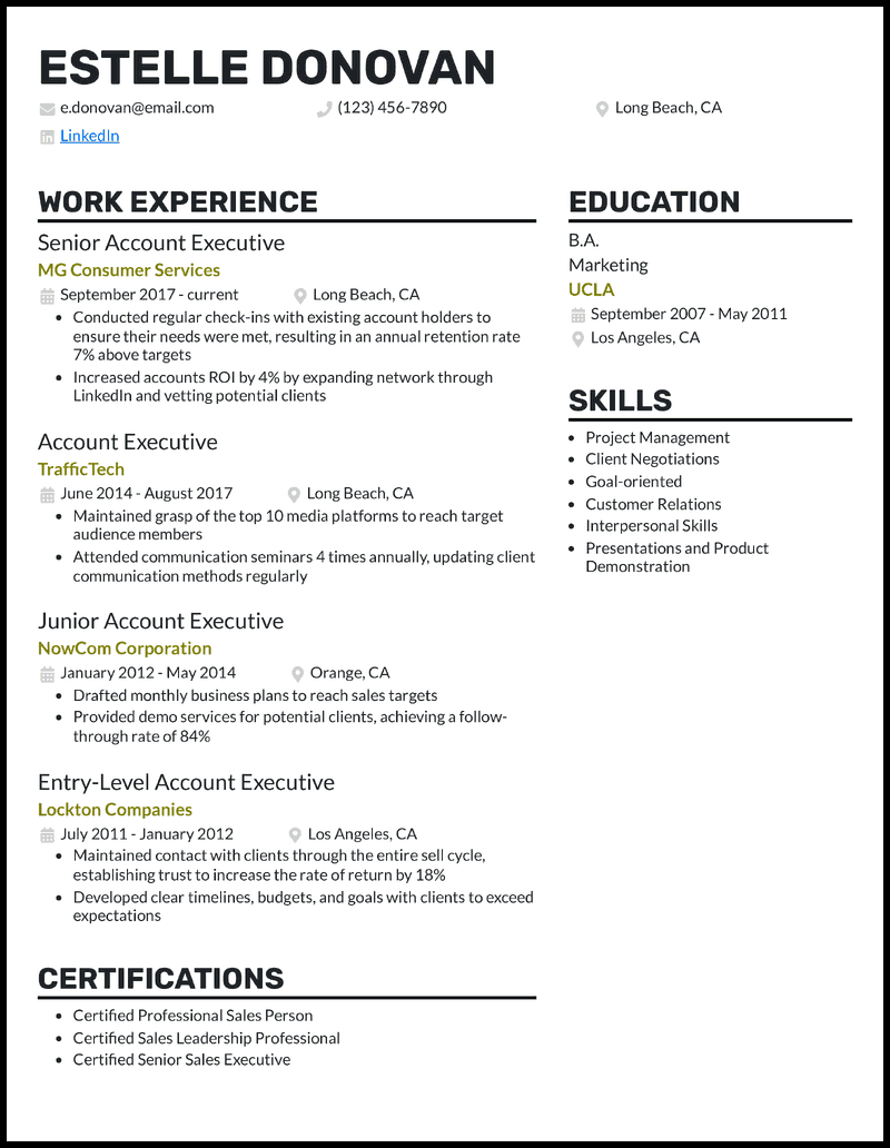 3 Senior Account Executive Resume Examples for 2026