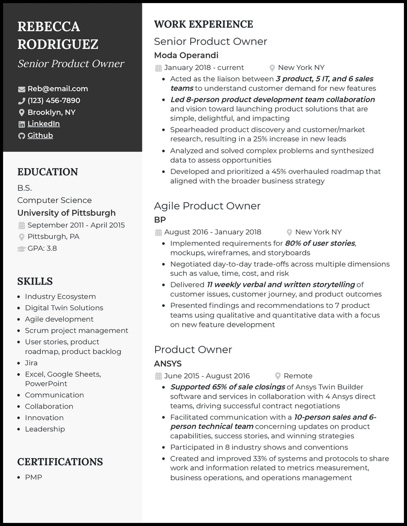 Senior product owner resume example with 7+ years experience