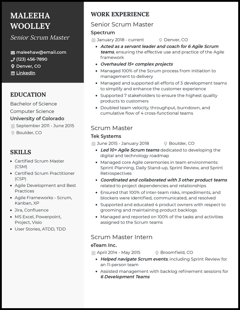 Elegant senior scrum master resume example