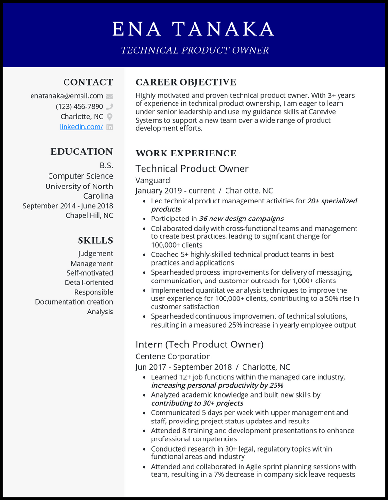 Technical product owner resume example with 8+ years experience