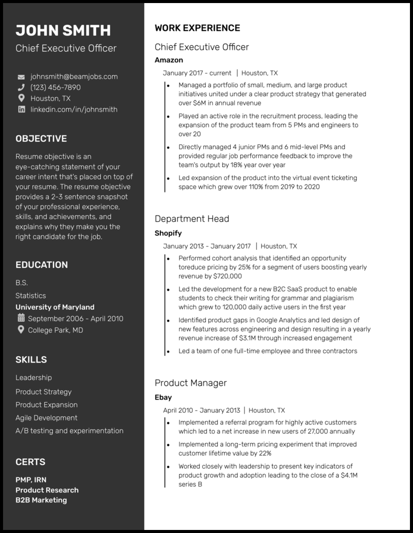 Timeline Google Docs resume template